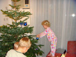 Dec08 - tree4