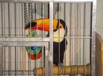 Dec08 - birds2