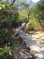 Jan08 hike3